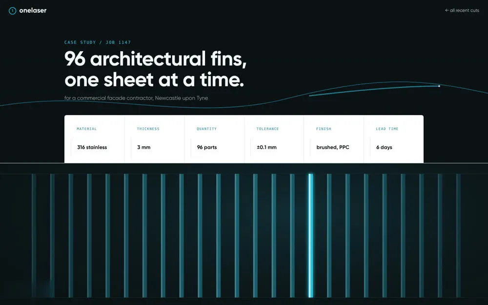 OneLaser case study template